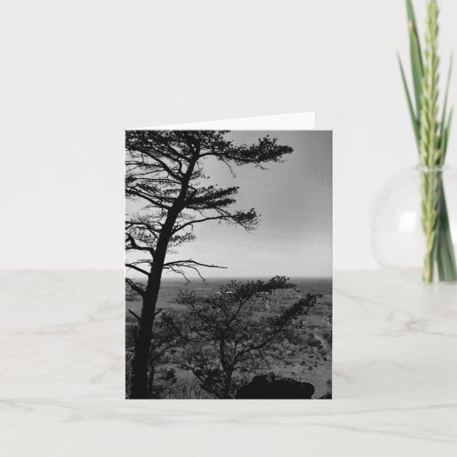 Fotografi för hälsningskortet Forest Nature Landca Kort (Framsida)