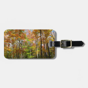 Fotografi för höstlandskap i Fall Forest II Bagagebricka
