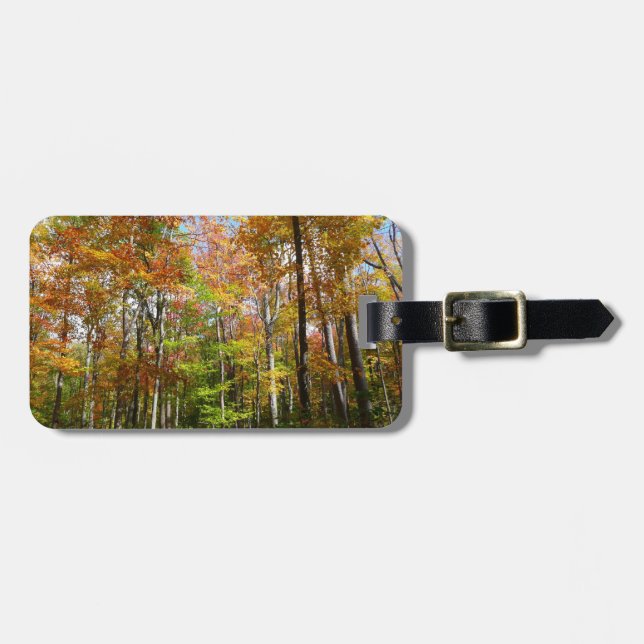 Fotografi för höstlandskap i Fall Forest II Bagagebricka (Horisontell Framsida)