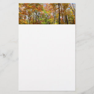 Fotografi för höstlandskap i Fall Forest II Brevpapper
