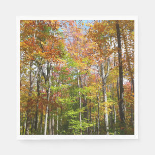 Fotografi för höstlandskap i Fall Forest II Pappersservett