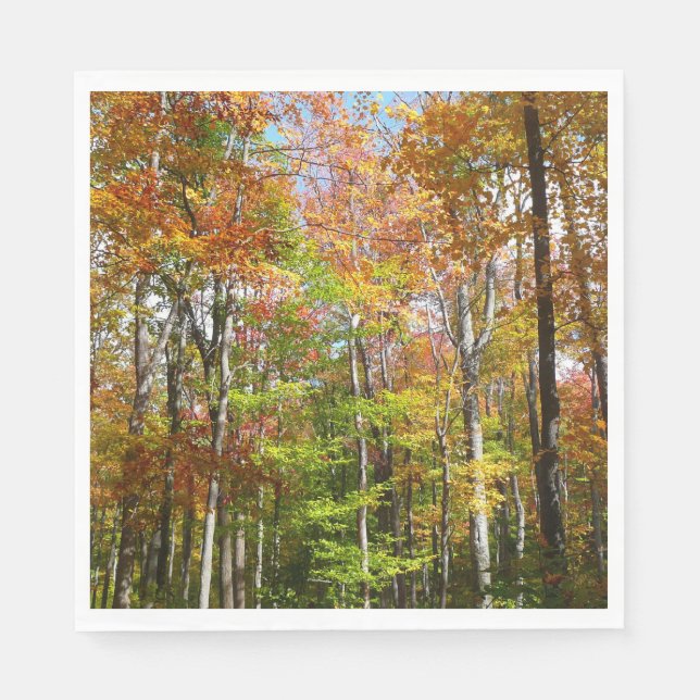 Fotografi för höstlandskap i Fall Forest II Pappersservett (Framsidan)