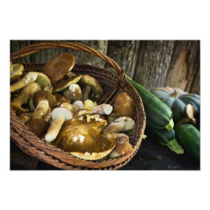 Fotografi för höstmaten