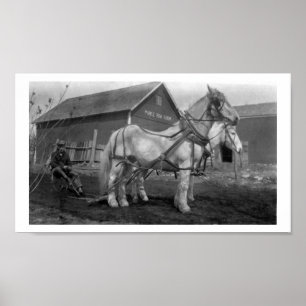 Fotografi för mönsterkarta över rad poster