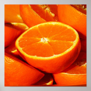 Fotografi för orangar poster