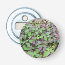 Fotografi för Red & Grönt Löv Grenar