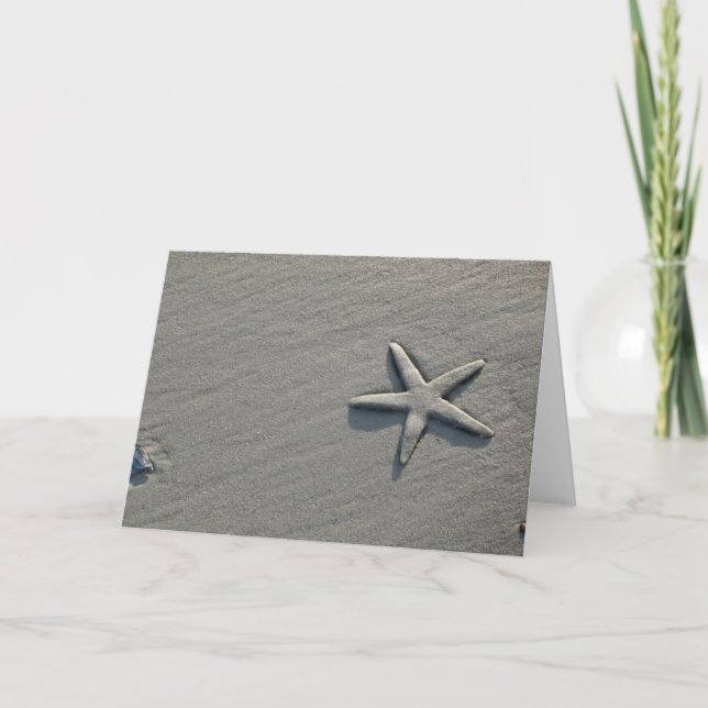 Fotografi för skarvband kort (Framsida)