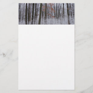 Fotografi för snö Dusted Forest Winter Ligcape Brevpapper