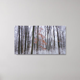 Fotografi för snö Dusted Forest Winter Ligcape Canvastryck