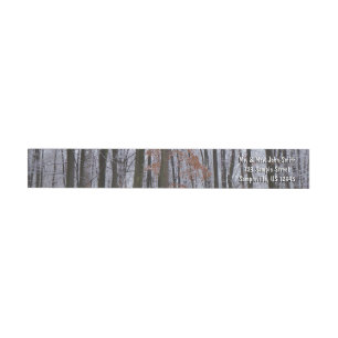 Fotografi för snö Dusted Forest Winter Ligcape Etikettband