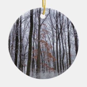 Fotografi för snö Dusted Forest Winter Ligcape Julgransprydnad Keramik