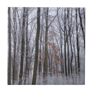Fotografi för snö Dusted Forest Winter Ligcape Kakelplatta