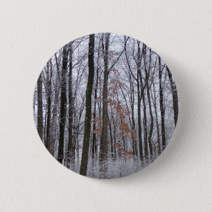 Fotografi för snö Dusted Forest Winter Ligcape Knapp