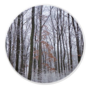 Fotografi för snö Dusted Forest Winter Ligcape Knopp