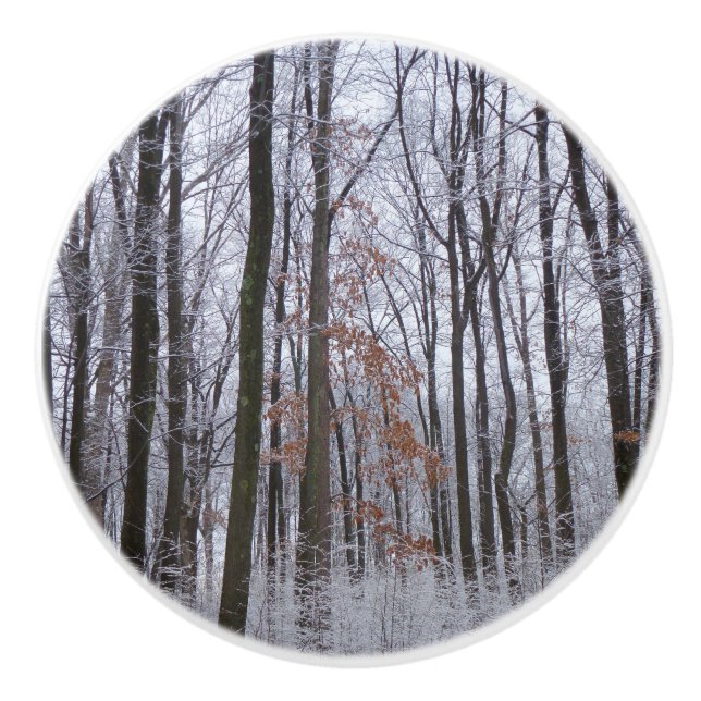 Fotografi för snö Dusted Forest Winter Ligcape Knopp (Framsidan)