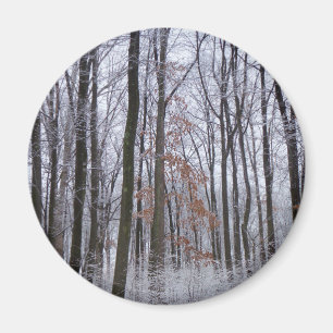 Fotografi för snö Dusted Forest Winter Ligcape Magnet
