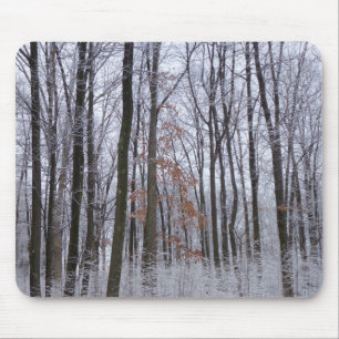 Fotografi för snö Dusted Forest Winter Ligcape Musmatta
