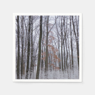 Fotografi för snö Dusted Forest Winter Ligcape Pappersservett