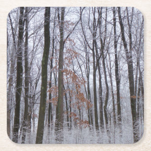 Fotografi för snö Dusted Forest Winter Ligcape Underlägg Papper Kvadrat