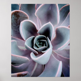 Fotografi för solfångarväxt upp nära naturen poster