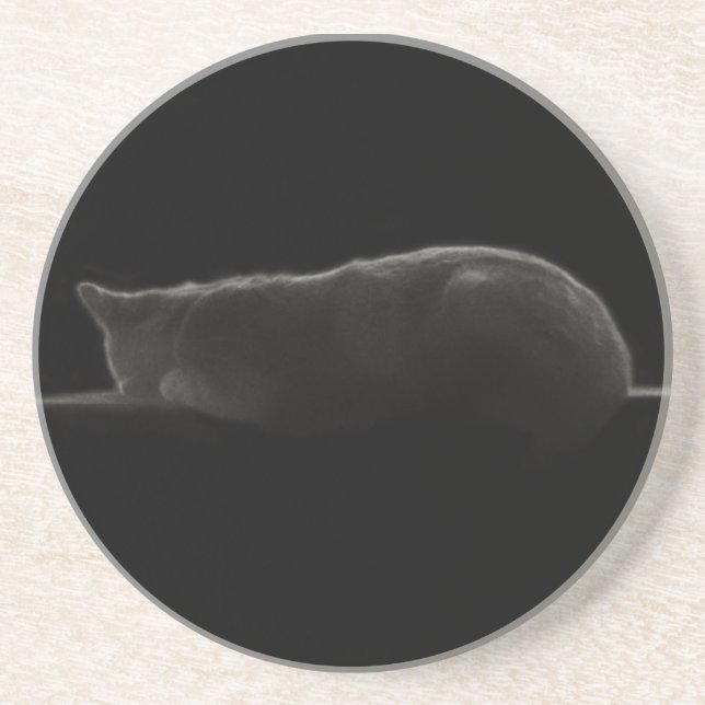 Fotografi för sovande katt underlägg (Framsidan)