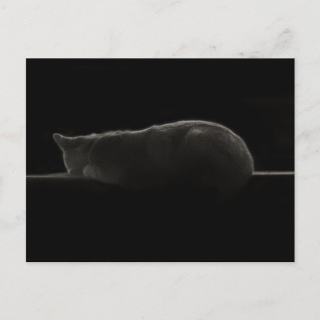 Fotografi för sovande katt vykort (Framsida)