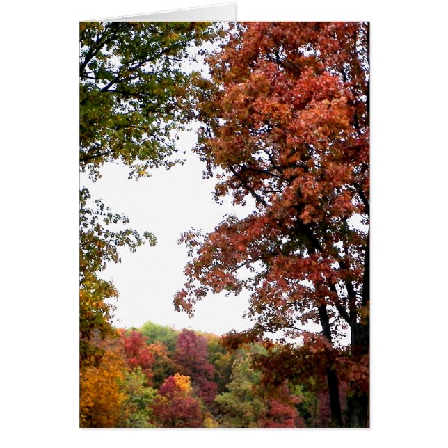 Fotografi för stående höst OBS kort (Framsidan)