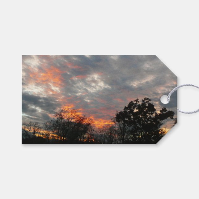 Fotografi för vintersunnelnatur presentetikett (Framsidan (Horisontell))