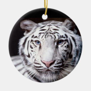Fotografi för vitBengal tiger Julgransprydnad Keramik