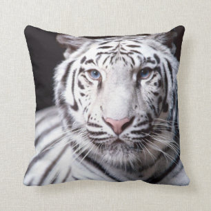 Fotografi för vitBengal tiger Kudde