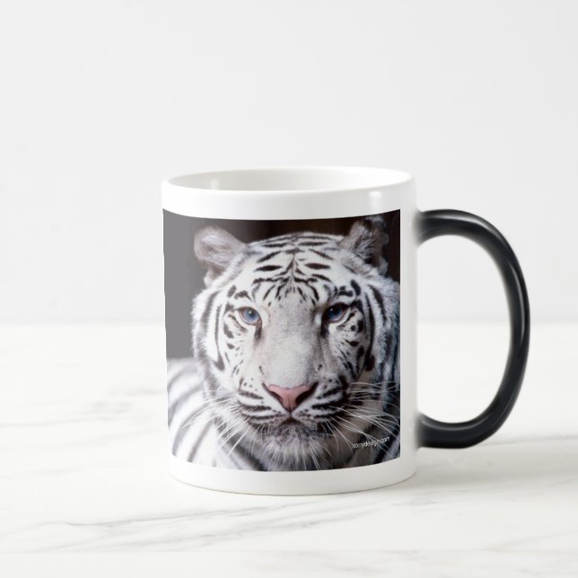 Fotografi för vitBengal tiger Magisk Mugg (Höger)