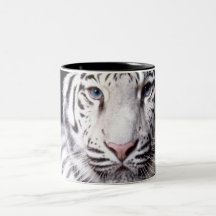 Fotografi för vitBengal tiger