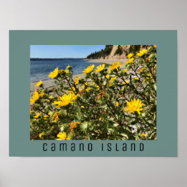 Fotografi från Beach Camano Island Washington Poster