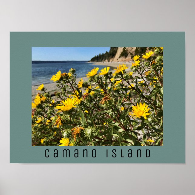 Fotografi från Beach Camano Island Washington Poster (Framsidan)