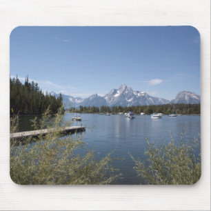 Fotografi från Grand Teton National Park Musmatta
