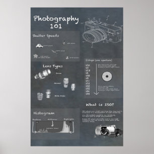 Fotografi - Infografisk Poster