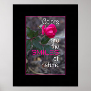 Fotografi med enkel böjning Rosa ros Poster