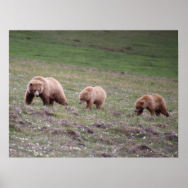 Fotografi med tre hörn poster