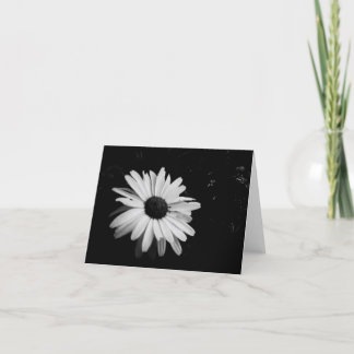 Fotografi Notecards Kort