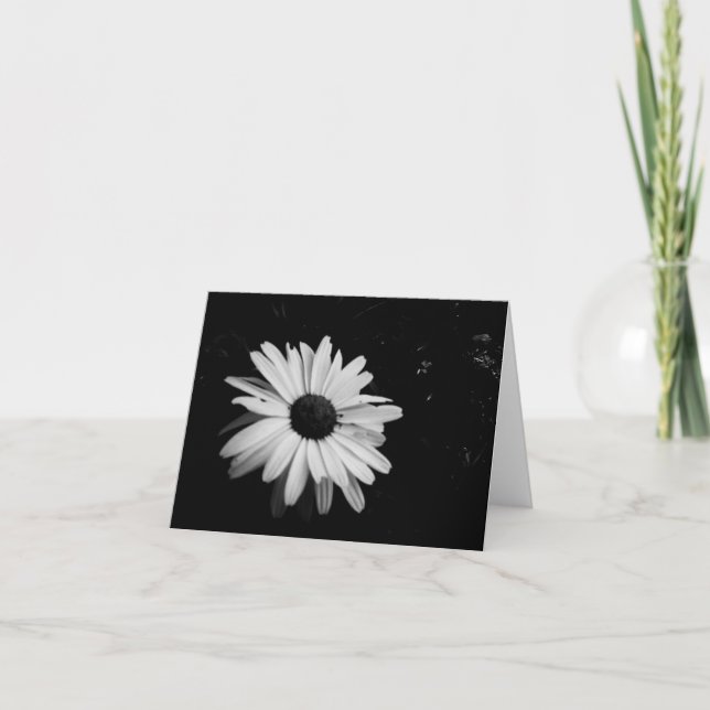 Fotografi Notecards Kort (Framsida)