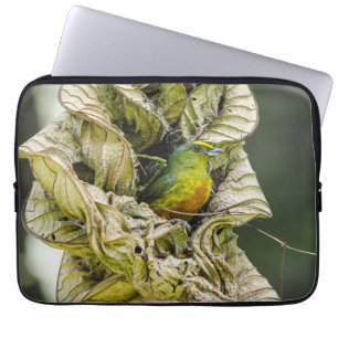 Fotografi, oval, Euphonia Laptop Fodral