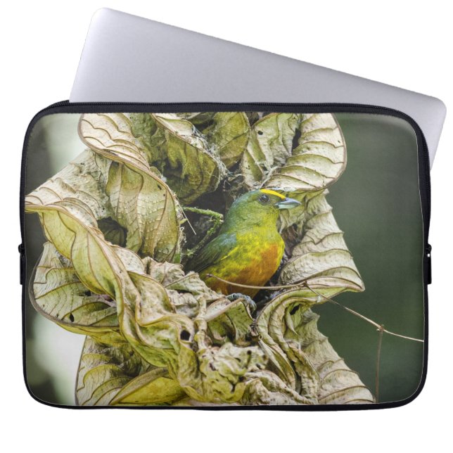 Fotografi, oval, Euphonia Laptop Fodral (Framsidan)