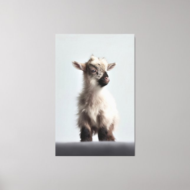 Fotografi över Baby Goat Porträtt vid uppvärmning Canvastryck (Framsida)