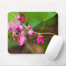 Fotografi över bin på korallvens vinblommor musmatta