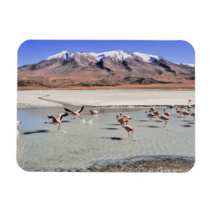 Fotografi över Bolivia-landskapet Magnet