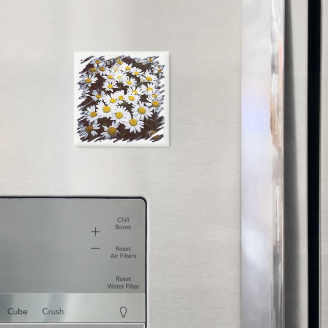 Fotografi över Daisy för gult Center White Shasta- Magnet (In Situ (Fridge))