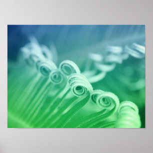 Fotografi över den tropiska sago-naturen Handflata Poster