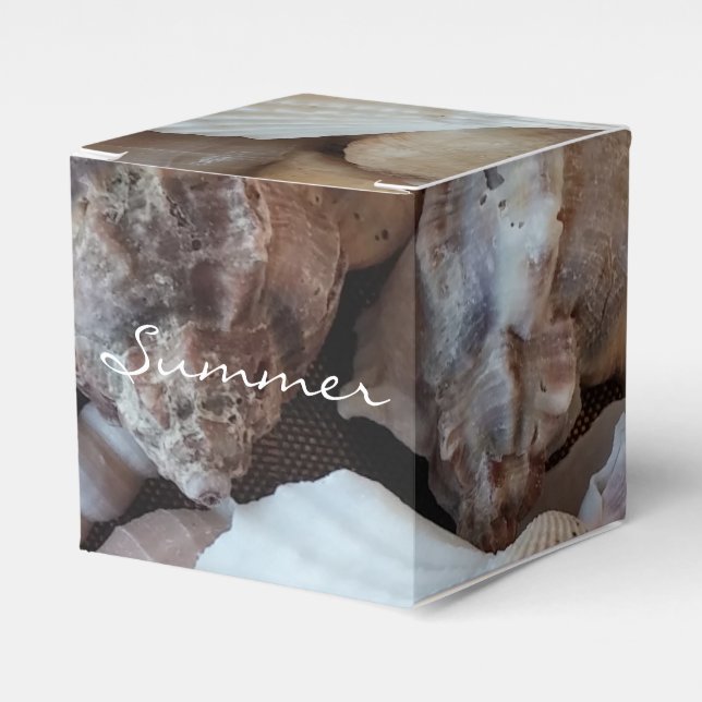 Fotografi över exotiska Tropiska sommarSnäckor Presentaskar (Framsidan Sidan)