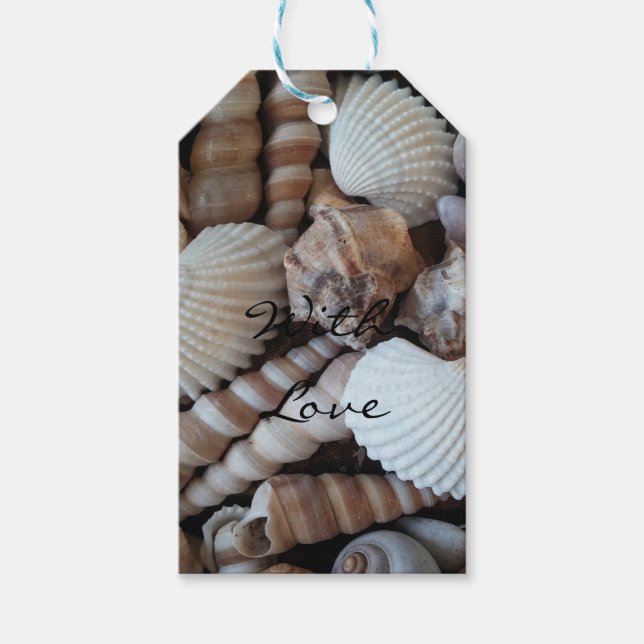 Fotografi över exotiska Tropiska sommarSnäckor Presentetikett (Framsidan)