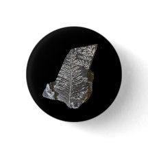 Fotografi över ferniserade Löv Sten